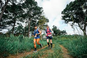 BIB: 
                            <button type="button" onclick="openModal(26034195)" class="btn btn-primary btn-sm float-right btn-popup" data-toggle="modal" data-target=".modal-high-quality">
                        <i class="fas fa-shopping-cart"></i> Add to Cart
                    </button>
                                            <button type="button" onclick="isThisMe(26034195, true)" class="btn btn-success btn-sm float-right btn-popup btn-isme hidden" data-toggle="tooltip" data-placement="bottom" title="นี่คือรูปของคุณใช่ไหม คลิกที่นี่เพื่อเอาเข้าอัลบั้ม">
                        <i class="fas fa-plus"></i> Add to album
                    </button>
                    <button type="button" onclick="isThisMe(26034195, false)" class="btn btn-warning btn-sm float-right btn-popup btn-isnotme hidden">
                        <i class="fas fa-ban"></i> Remove from album
                    </button>